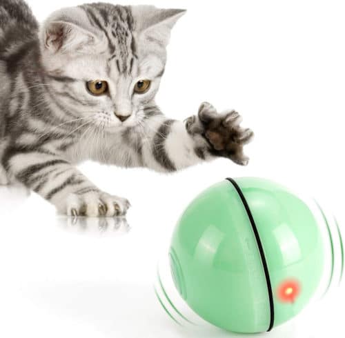 Selbstdrehender 360 Grad Ball Interaktives Katzenspielzeug